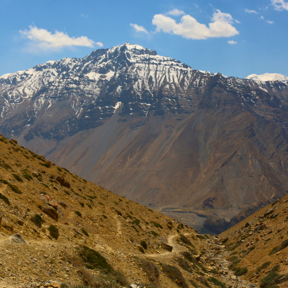 Zestresowany Strażnik Migdał potrzebuje pomocy Drugiego, wiesz?