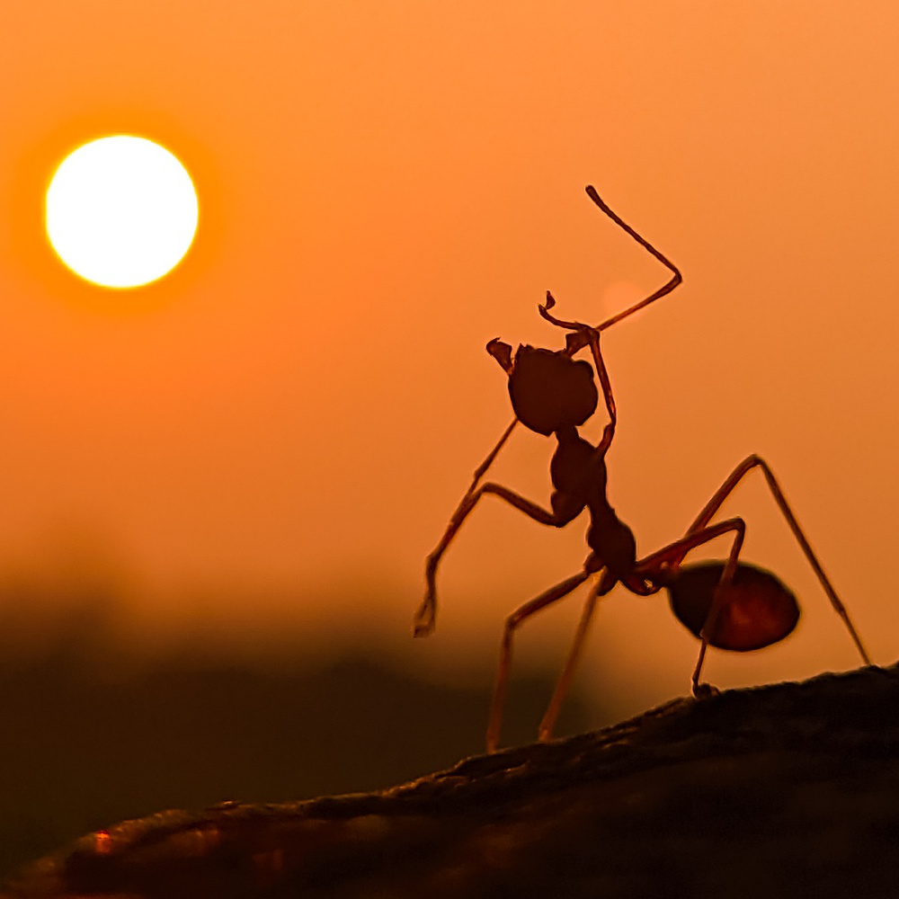 wszystko dobrze będzie, zobaczysz