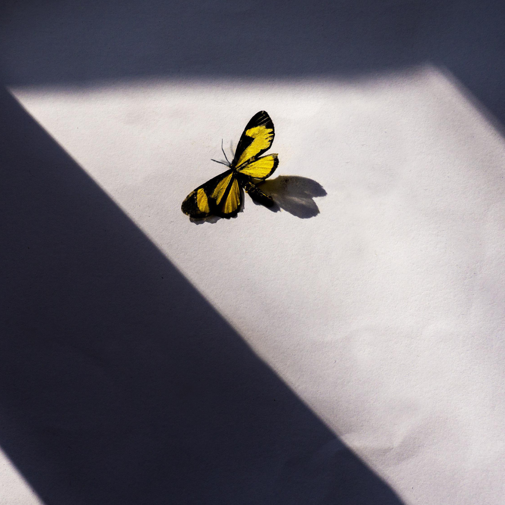 Strażnik Migdał potrzebuje pamiętać na złe